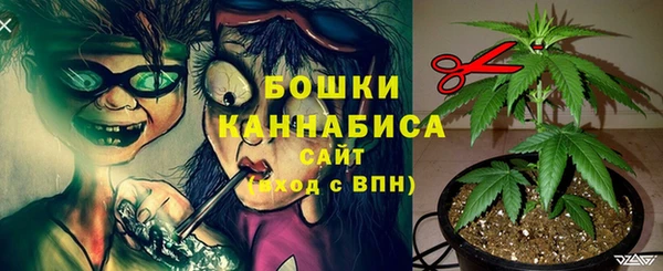 СК Арсеньев